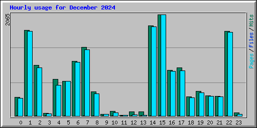 Hourly usage for December 2024