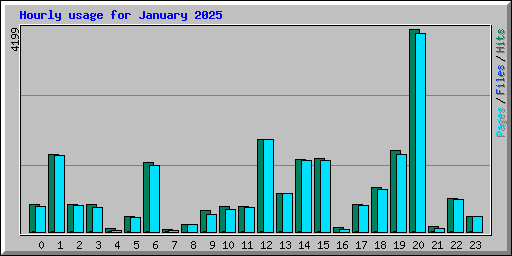 Hourly usage for January 2025